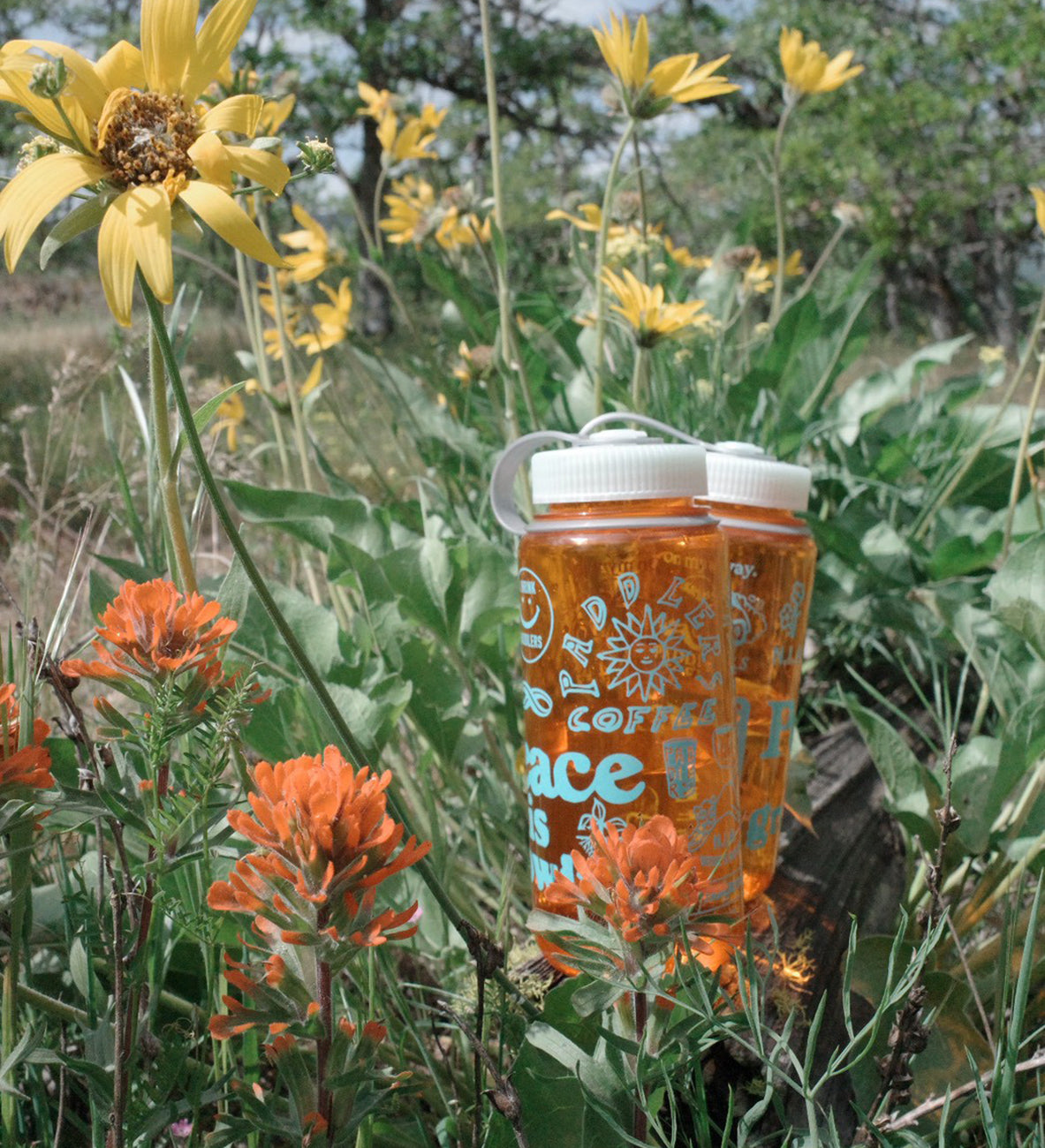 NALGENE BOTTLE (16oz)
